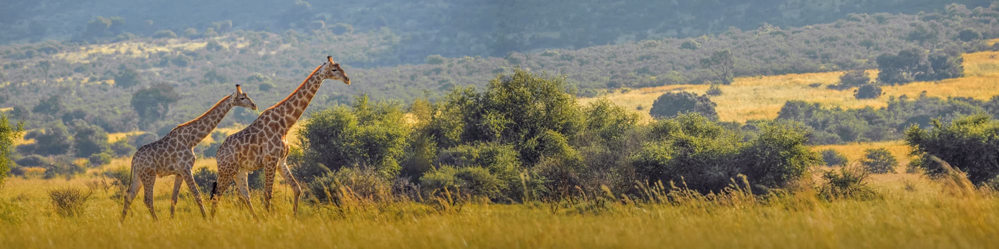 Randonnée Parc Kruger © shams Faraz Amir / Adobe Stock