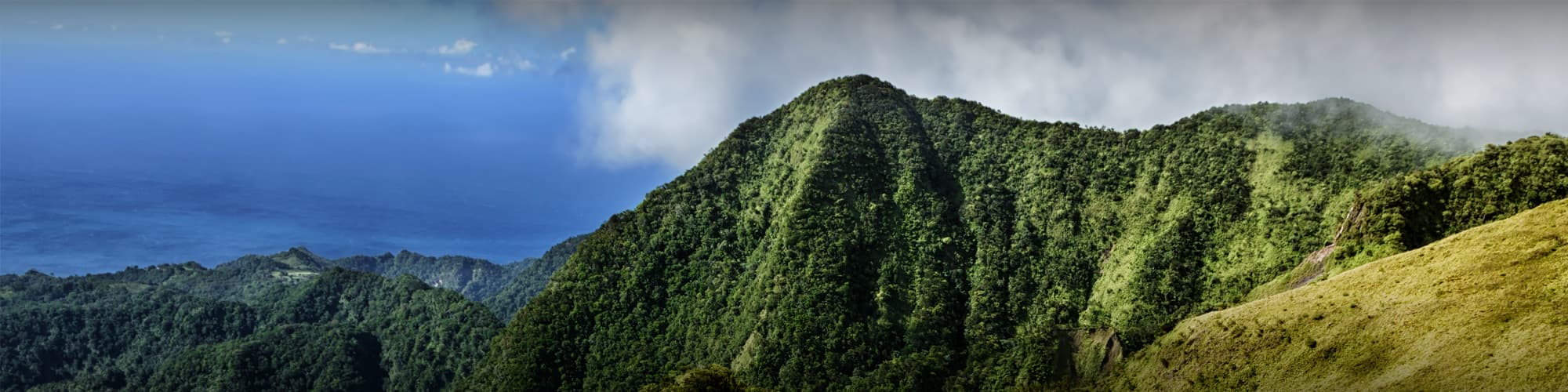 Voyage liberté Antilles © stevegeer / istock