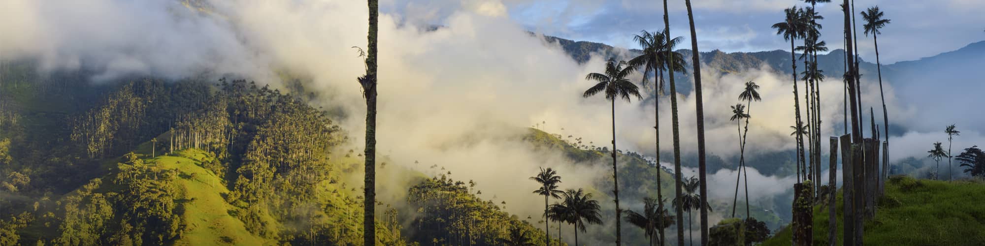 Voyage Montagne Colombie © Martin Nabert / Istock