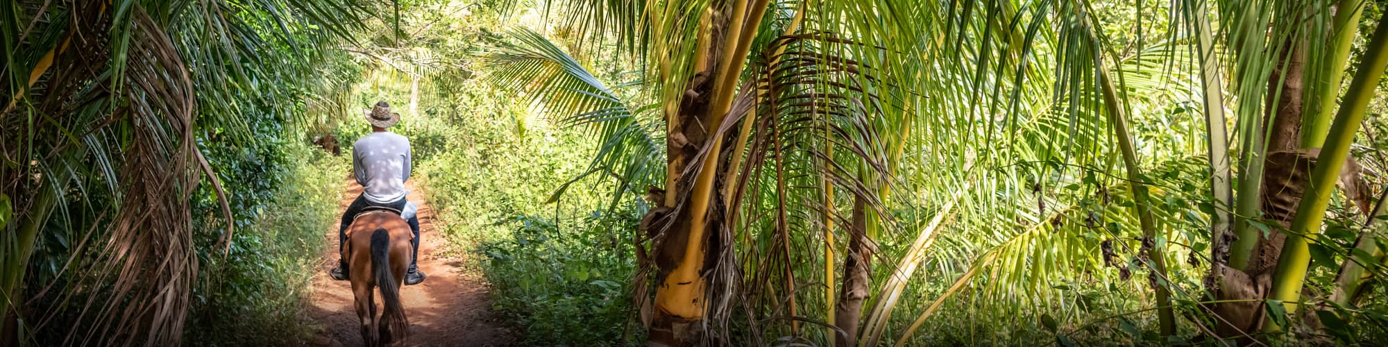 Voyage en famille Cuba © MaxB77 / Istock