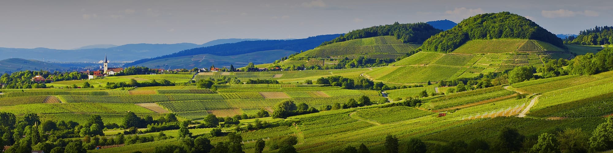 Voyage Patrimoine et Nature Allemagne © Erich Spiegelhalter/STG/Schwarzwald Tourismus OT