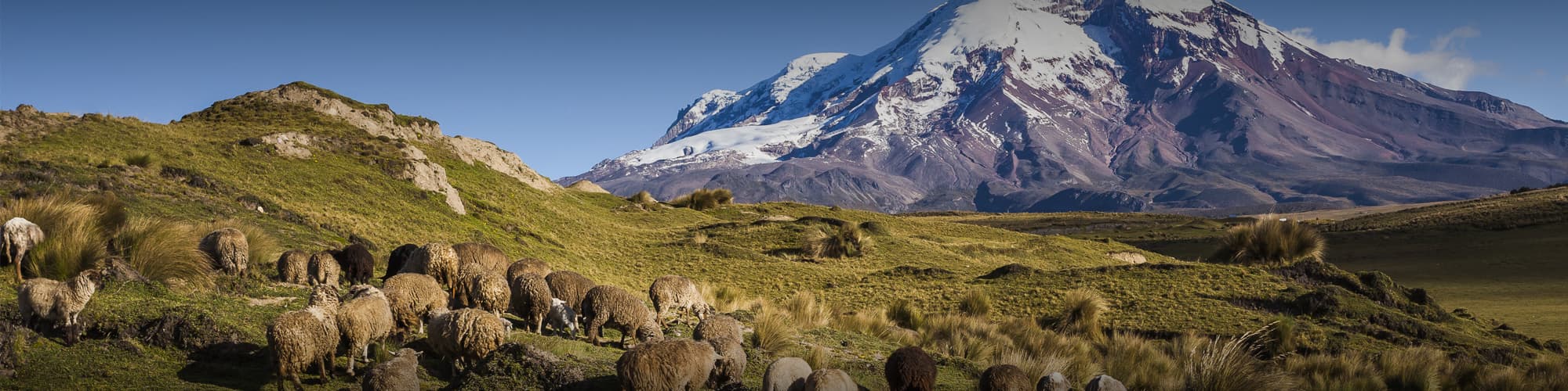 Voyage Patrimoine et Nature Equateur © PatricioHidalgoP / Istock