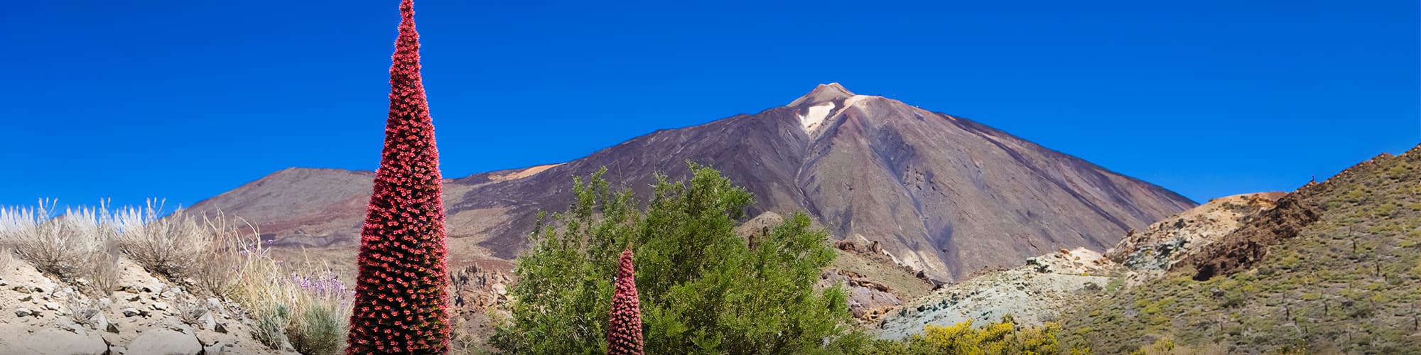 Randonnée Canaries © OT Tenerife