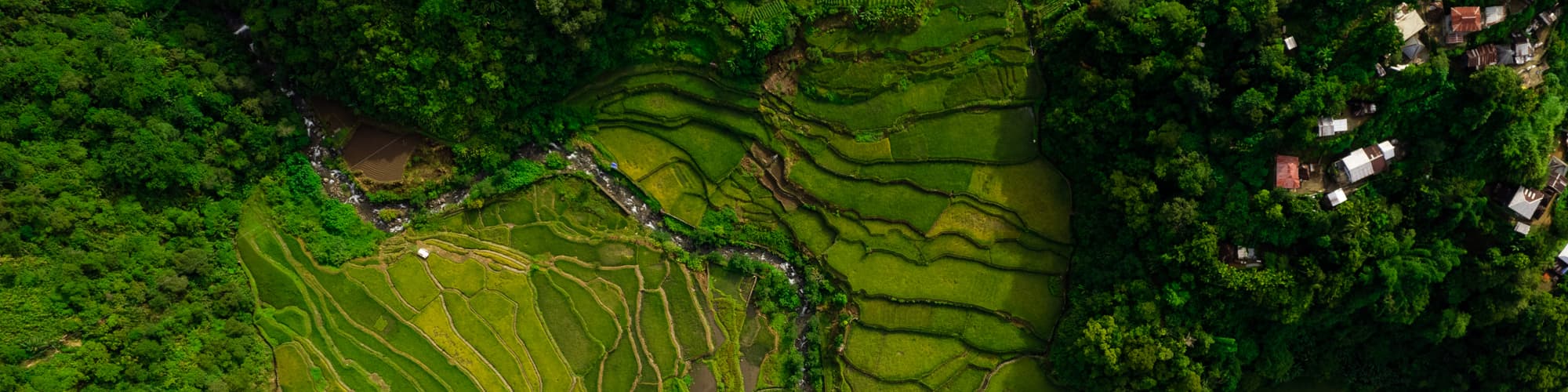 Trek Bali © victor cuenca lopez