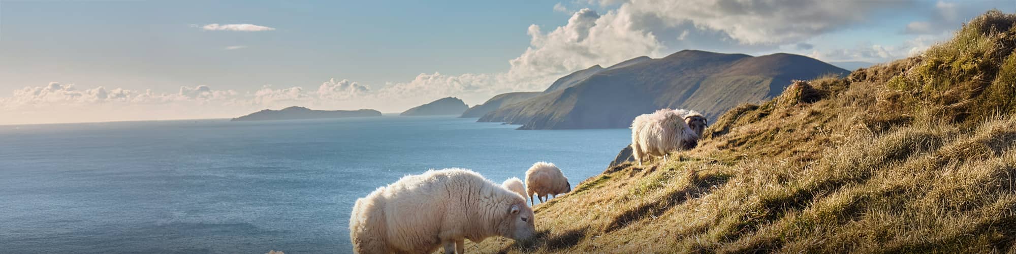 L'Irlande à vélo © no_limit_pictures