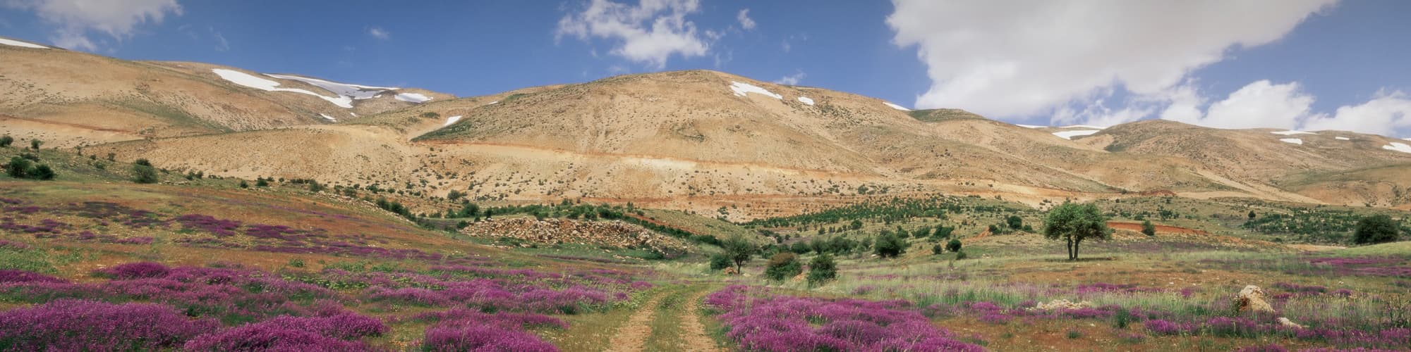 Trek au Liban : circuit, randonnée et voyage © robertharding / Adobe Stock