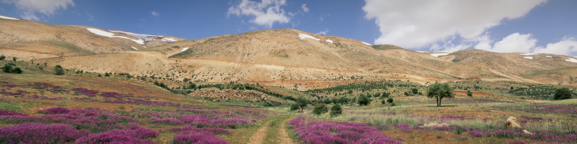 Voyage Patrimoine et Nature Liban © robertharding / Adobe Stock