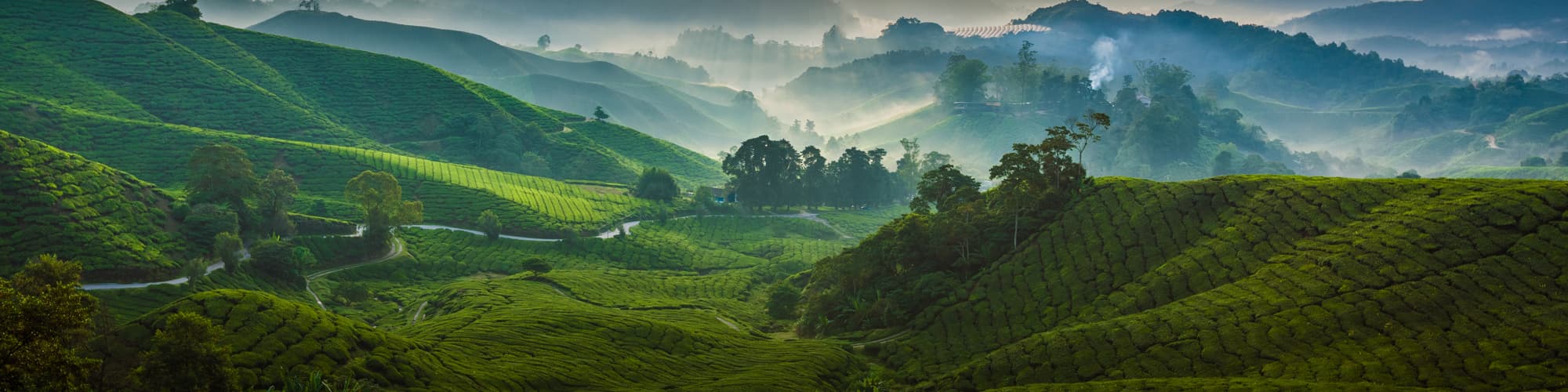 Voyage Patrimoine et Nature Malaisie © Black Cat Imaging / Adobe Stock