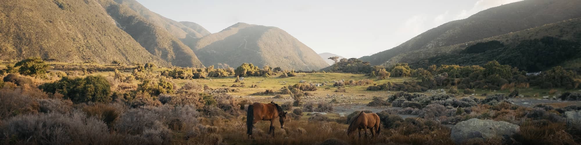 Randonnée en Nouvelle-Zélande : trek, découverte et voyage © FiledIMAGE