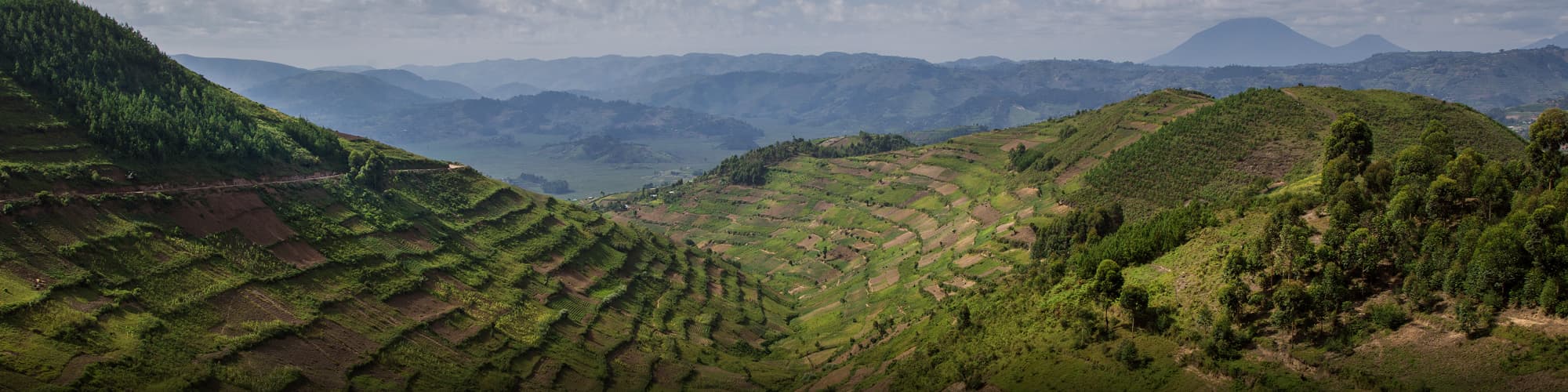 Safari au Rwanda : trek, randonnée et voyage  © guenterguni