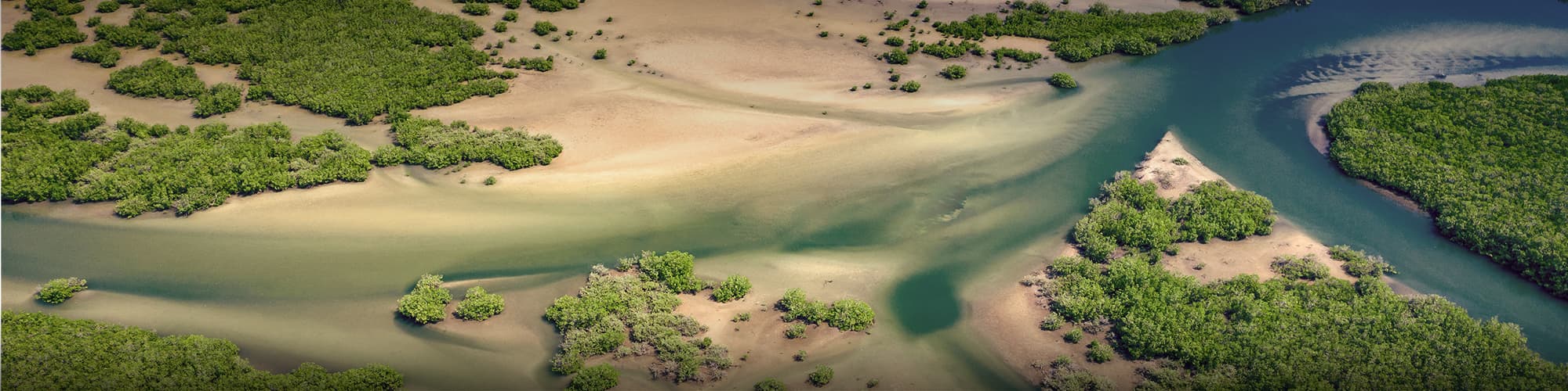 Voyage Bord de mer et îles Sénégal © mariusz_prusaczyk