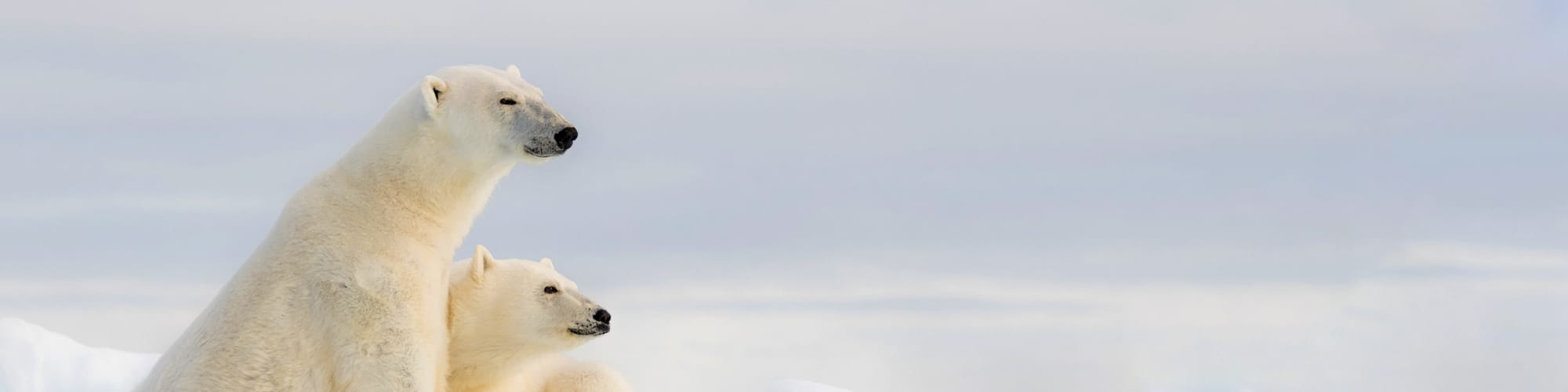 Voyage en groupe Terres polaires © Olav Thokle /iStock