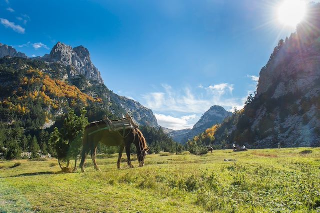 Randonnée : Pics des Balkans, le trek des Alpes albanaises Voyage Pics des Balkans, le trek des Alpes albanaises