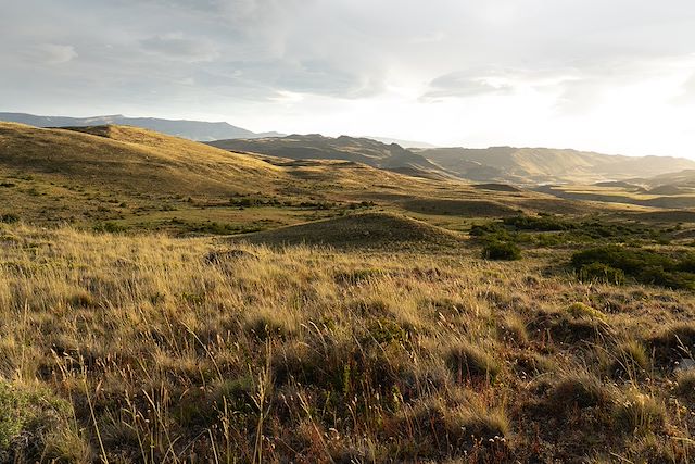 Voyage De la Patagonie aux chutes d'Iguaçu