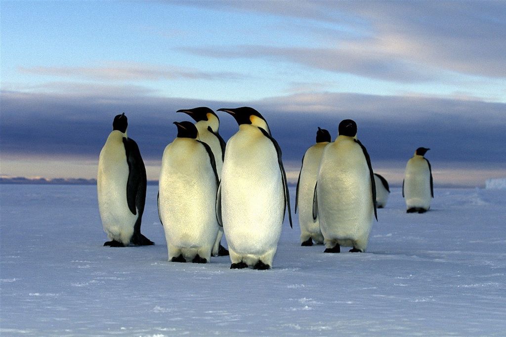 Voyage Odyssée antarctique 1