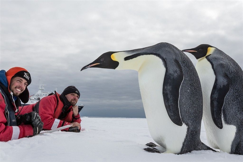 Voyage Odyssée antarctique 2