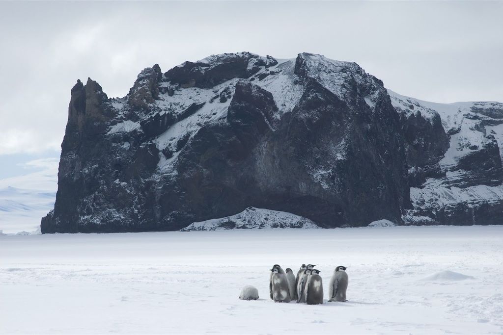 Voyage Odyssée antarctique 3