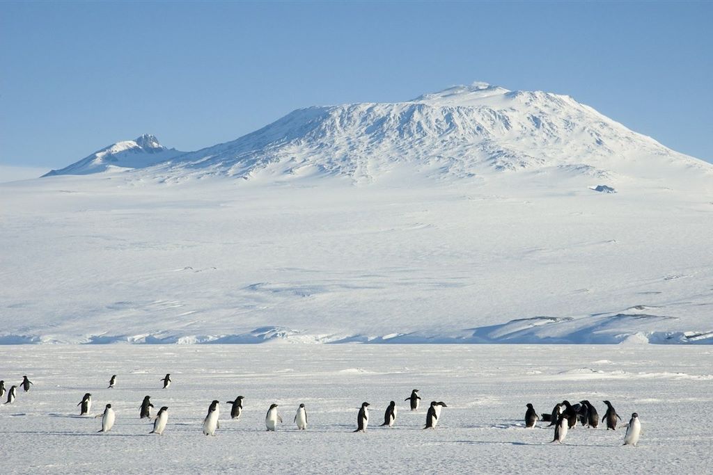 Voyage Odyssée antarctique