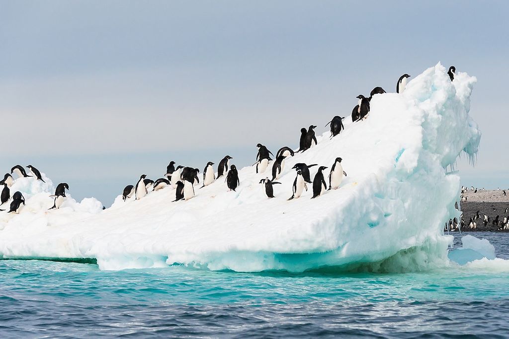 Voyage Cercle polaire antarctique et plateforme Wilkins 1