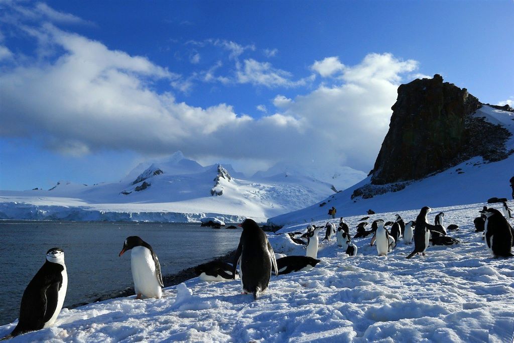 Voyage Exploration de la mer de Weddell 1