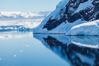 Observation animalière Antarctique