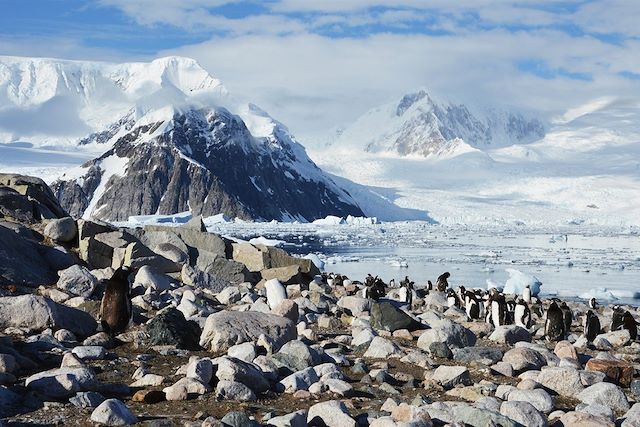 Terres Polaires : Péninsule Antarctique à bord du Persévérance Voyage Péninsule Antarctique à bord du Persévérance