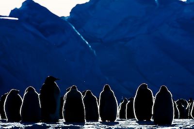 Croisières et voiles Antarctique