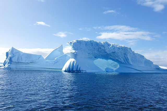 Observation animalière : Faune et glaces de l'Antarctique en voilier Voyage Faune et glaces de l'Antarctique en voilier