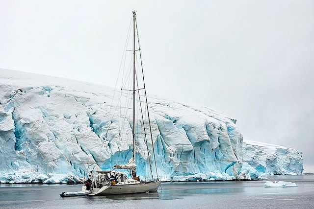 Observation animalière : Faune et glaces de l'Antarctique en voilier Voyage Faune et glaces de l'Antarctique en voilier