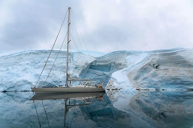 Observation animalière : Faune et glaces de l'Antarctique en voilier Voyage Faune et glaces de l'Antarctique en voilier