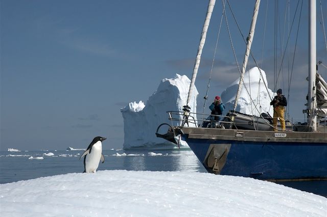 Voyage : L'Antarctique à la voile, entre faunes et glaces Voyage L'Antarctique à la voile, entre faunes et glaces