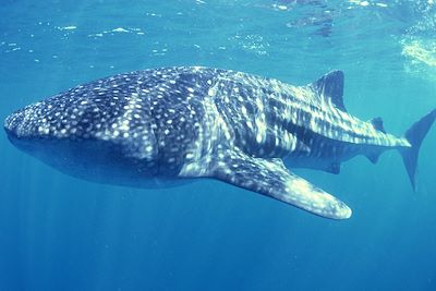 Voyage Bord de mer et îles Australie