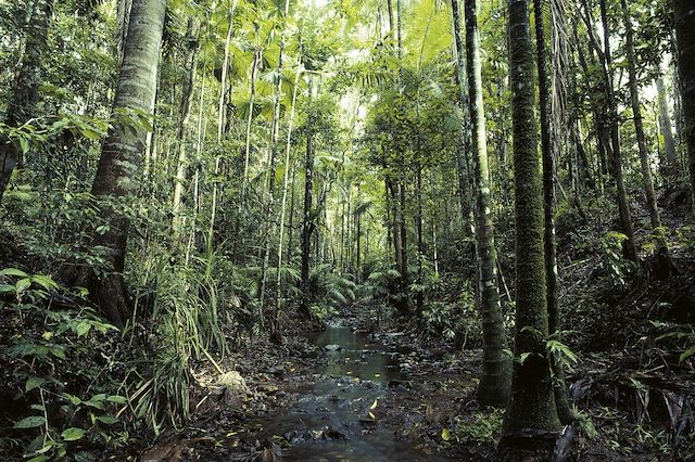 Voyage Aventure de Sydney aux terres rouges et tropicales