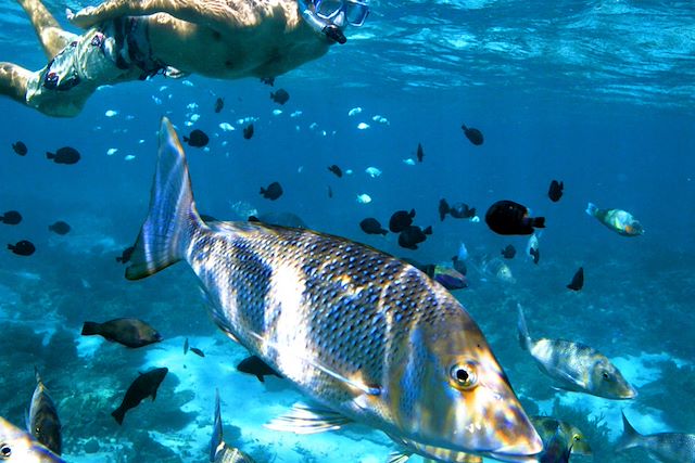 Voyage Les incontournables d'Australie