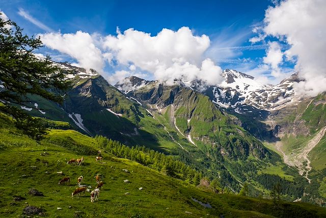 Voyage Tour du Grossglockner cœur des Alpes autrichiennes