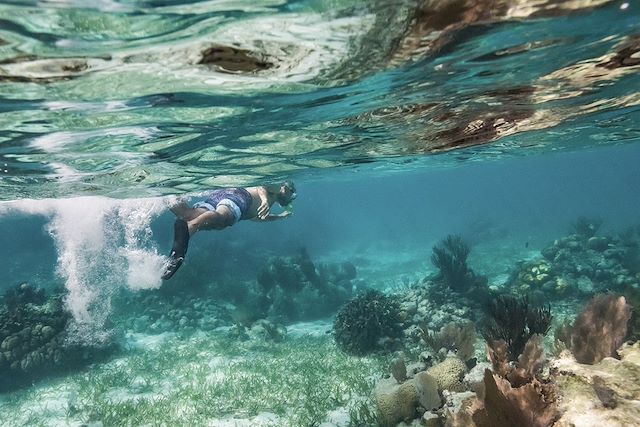 Patrimoine et Nature : Héritage maya, lagons caribéens et trésors cachés Voyage Héritage maya, lagons caribéens et trésors cachés