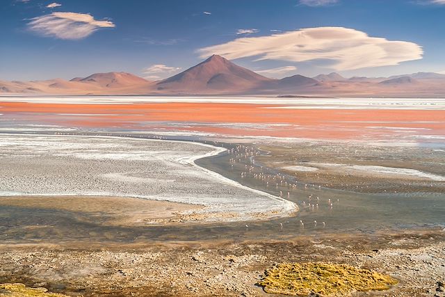 Voyage : Immersion au cœur de l'Altiplano bolivien Voyage Immersion au cœur de l'Altiplano bolivien