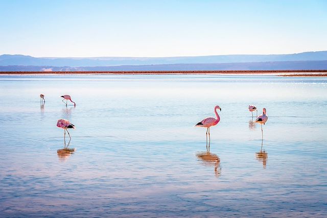 Voyage Trilogie Andine, sur les routes de l’Altiplano