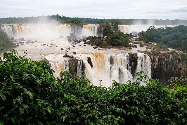 Faune : Costa Verde, Chapada Diamantina et Chutes d'Iguaçu Voyage Costa Verde, Chapada Diamantina et Chutes d'Iguaçu