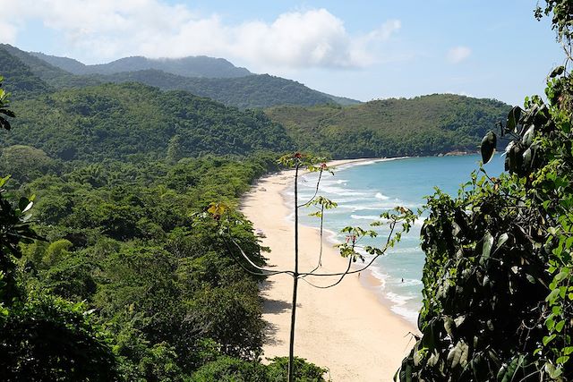 Faune : Costa Verde, Chapada Diamantina et Chutes d'Iguaçu Voyage Costa Verde, Chapada Diamantina et Chutes d'Iguaçu