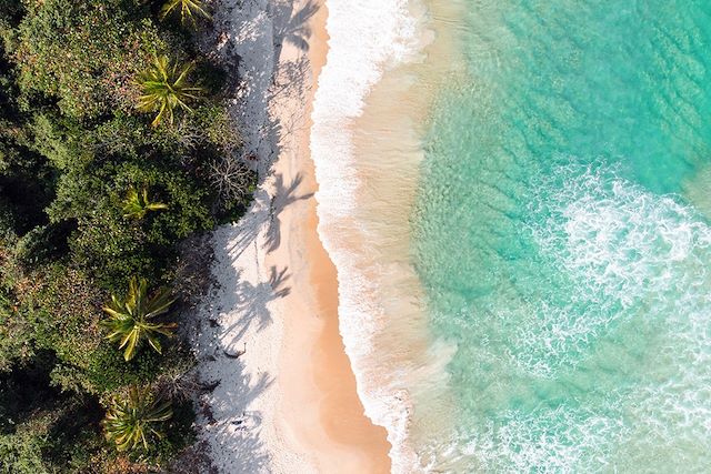Découverte : Aventuriers au pays des Caiçaras Voyage Aventuriers au pays des Caiçaras