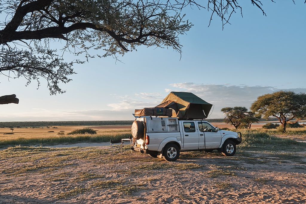 Voyage Botswana