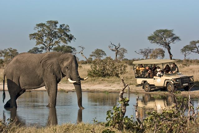 Okavango : Safaris privés à Chobe, Savuti et Moremi  Voyage Safaris privés à Chobe, Savuti et Moremi