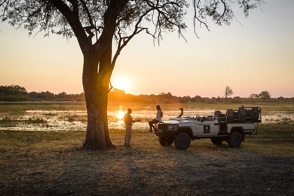 Voyage Botswana