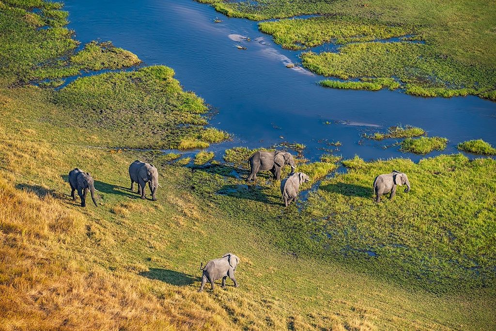 Botswana : Voyages sur mesure