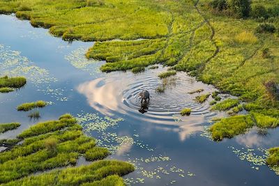 Du Kalahari à l'Okavango, une aventure magique 