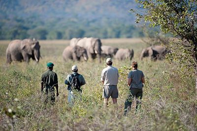 De rando en safari, l'aventure à pied