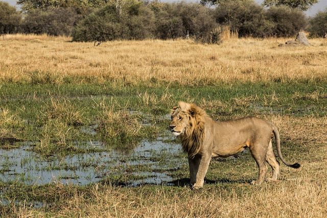 Voyage De rando en safari, l'aventure à pied