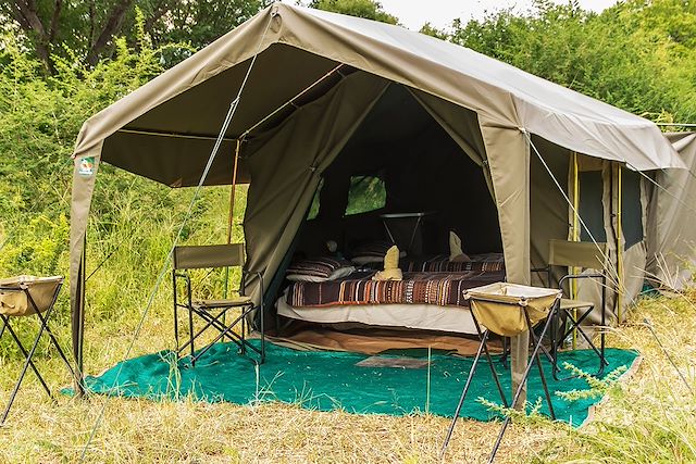 Voyage Safari authentique : guide botswanais francophone