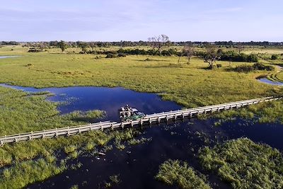 Sur la route des éléphants